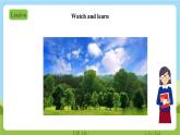 牛津深圳版英語六上Unit 11《 Trees Look and learn Think and say》課件+教案+分層練習(xí)