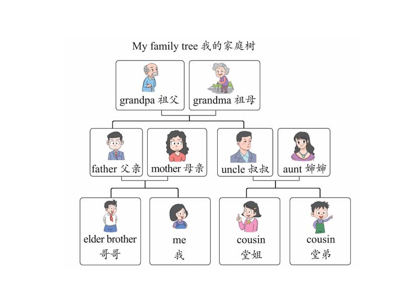 Unit 2 Different families Part A-Let's learn&Listen and chant 课件04