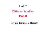 Unit 2 Different families Part B-Let's learn&Listen and chant  课件