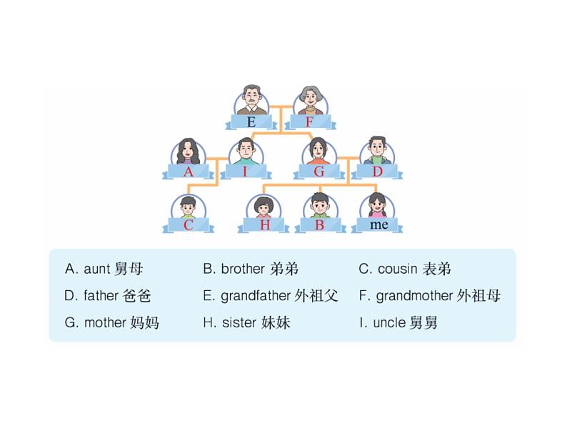 Unit 2 Different families Part C  project：Make a family tree 课件08