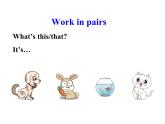 Unit 3 Amazing animals Part B-Let's learn&Listen and chant 课件