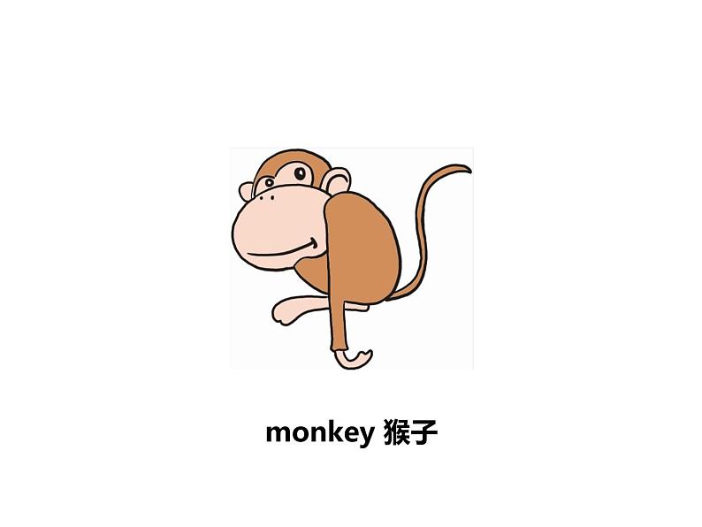 Unit 3 Amazing animals Part B-Let's learn&Listen and chant 课件第6页