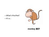 Unit 3 Amazing animals Part C Project  Make an animal picture book 课件
