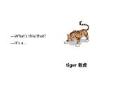 Unit 3 Amazing animals Part C Project  Make an animal picture book 课件