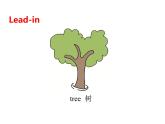 Unit 4 Plants around us Part B Let's learn & Listen and chant课件+素材