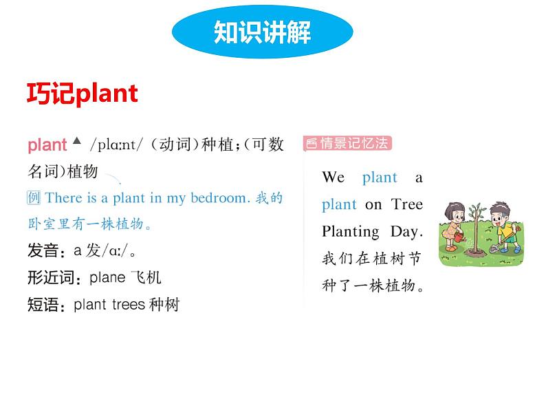 Unit 4 Plants around us Part B Let's learn & Listen and chant课件+素材08