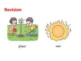 Unit 4 Plants around us Part B Start to read 课件+素材