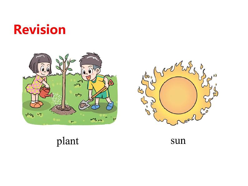 Unit 4 Plants around us Part B Start to read 课件+素材03