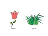 Unit 4 Plants around us Part B Start to read 课件+素材