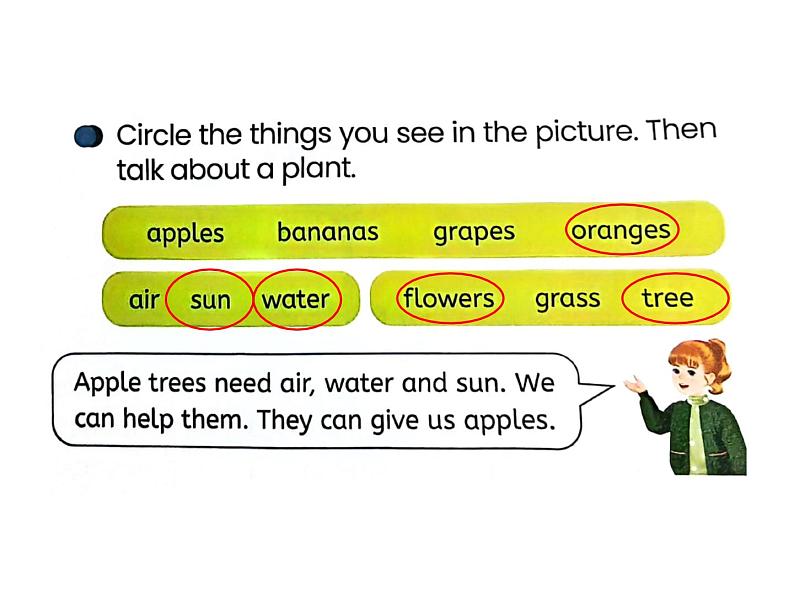 Unit 4 Plants around us Part B Start to read 课件+素材07