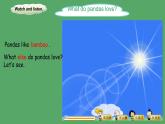 M7u2 Pandas love bamboo外研版三起六年級(jí)上冊(cè)課件+教案+素材