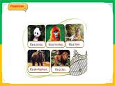 人教版（2024）三年级英语上册课件 5. Unit 3 Part B  Let's learn & Listen and chant