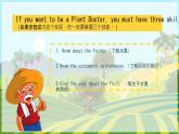 Unit 4 Plants around us Part A  Let's talk & Let's learn（课件）-2024-2025学年人教版（2024）英语三年级上册