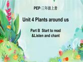 Unit 4 Plants around us  Part B  Start to read &Listen and chant（课件）-2024-2025学年人教版（2024）英语三年级上册