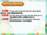 Unit 4 Plants around us  Part B  Start to read &Listen and chant（课件）-2024-2025学年人教版（2024）英语三年级上册