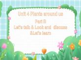 Unit 4 Plants around us  Part B Let’s talk & Look and discuss &Let's learn（课件）-2024-2025学年人教版（2024）英语三年级上册