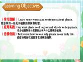 Unit 4 Plants around us  Part B Let’s talk & Look and discuss &Let's learn（课件）-2024-2025学年人教版（2024）英语三年级上册
