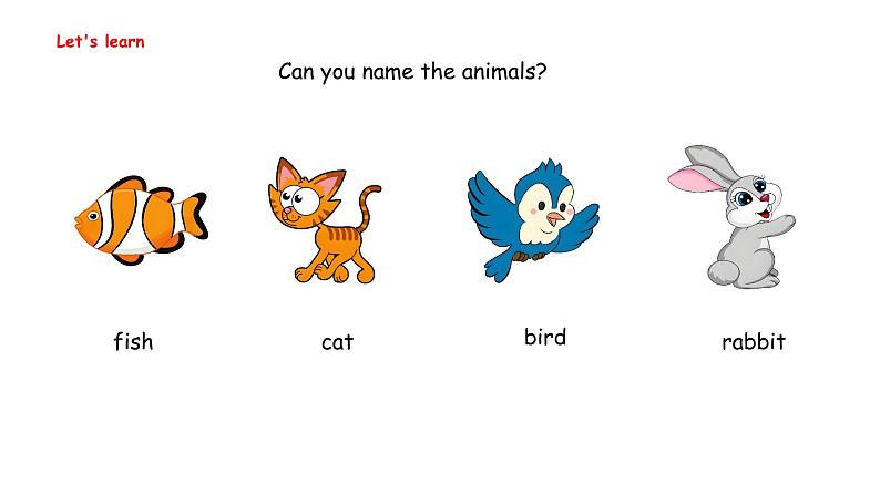 Unit 3  Amazing animals Part A  Let's learn & Listen and do（课件）-2024-2025学年人教PEP版（2024）英语三年级上册第4页