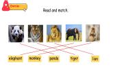 Unit 3  Amazing animals Part B  Let's learn & Listen and chant（课件）-2024-2025学年人教PEP版（2024）英语三年级上册