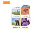 Unit 3  Amazing animals Part B  Start to read（课件）-2024-2025学年人教PEP版（2024）英语三年级上册