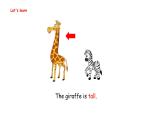 Unit 3  Amazing animals Part B  Start to read（课件）-2024-2025学年人教PEP版（2024）英语三年级上册