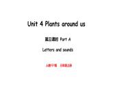 Unit 4  Plants around us Part A  Letters and sounds（课件）-2024-2025学年人教PEP版（2024）英语三年级上册