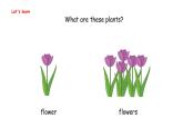 Unit 4  Plants around us Part B  Let's learn & Listen and cha（课件）-2024-2025学年人教PEP版（2024）英语三年级上册