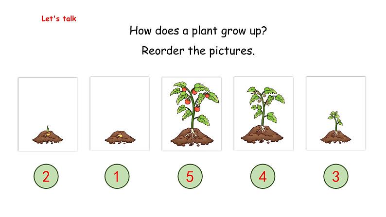 Unit 4  Plants around us Part B  Let's learn & Listen and cha（课件）-2024-2025学年人教PEP版（2024）英语三年级上册07