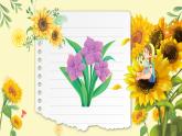 Unit 5 The colourful world C Reading time（课件）-2024-2025学年人教版（2024）英语三年级上册
