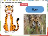 人教版新起点英语五上 Unit３《Animals》 Lesson 3 课件