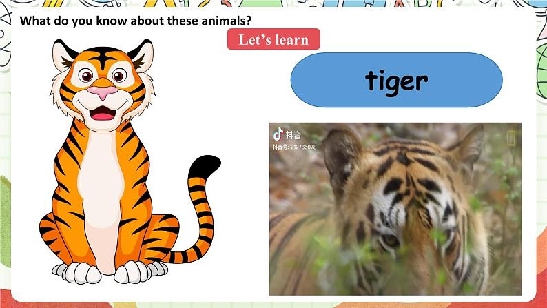 人教版新起点英语五上 Unit３《Animals》 Lesson 3 课件03