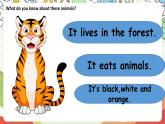 人教版新起点英语五上 Unit３《Animals》 Lesson 3 课件