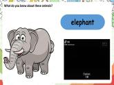 人教版新起点英语五上 Unit３《Animals》 Lesson 3 课件
