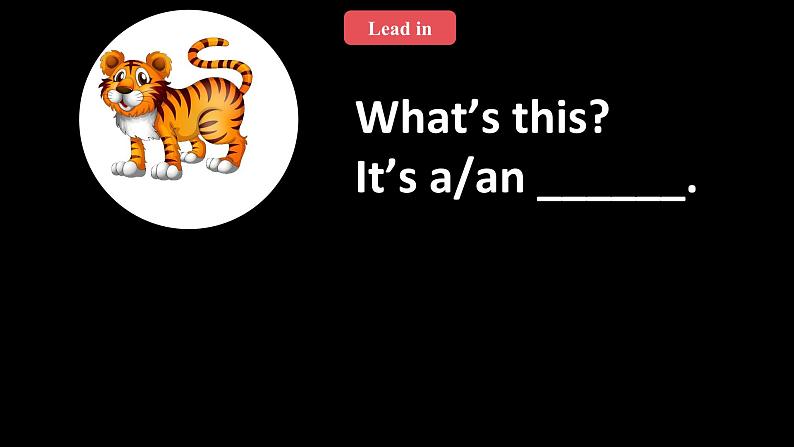 人教版新起点英语五上 Unit 3 《Animals》 Lesson 3 课件03