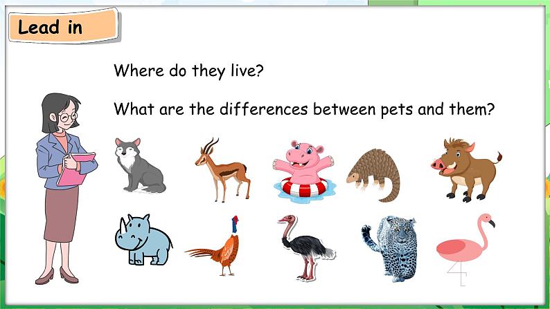 Unit 3 Amazing animals Part B Let’s learn — Start to read（课件+素材）-2024-2025学年人教PEP版（2024）英语三年级上册04