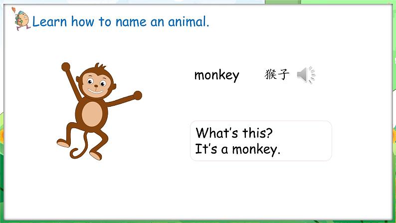 Unit 3 Amazing animals Part B Let’s learn — Start to read（课件+素材）-2024-2025学年人教PEP版（2024）英语三年级上册08