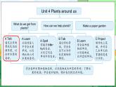 Unit 4 Plants around us Part A Let’s talk & Ask and answer（课件+素材）-2024-2025学年人教PEP版（2024）英语三年级上册