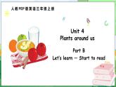 Unit 4 Plants around us Part B Let’s learn — Start to read（课件+素材）-2024-2025学年人教PEP版（2024）英语三年级上册