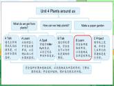 Unit 4 Plants around us Part B Let’s learn — Start to read（课件+素材）-2024-2025学年人教PEP版（2024）英语三年级上册
