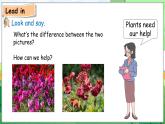 Unit 4 Plants around us Part B Let’s learn — Start to read（课件+素材）-2024-2025学年人教PEP版（2024）英语三年级上册