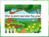 Unit 4 Plants around us Part B Let’s learn — Start to read（课件+素材）-2024-2025学年人教PEP版（2024）英语三年级上册