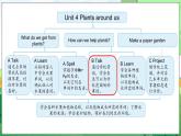 Unit 4 Plants around us Part B Let’s talk & Look and discuss（课件+素材）-2024-2025学年人教PEP版（2024）英语三年级上册