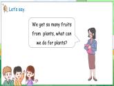 Unit 4 Plants around us Part B Let’s talk & Look and discuss（课件+素材）-2024-2025学年人教PEP版（2024）英语三年级上册