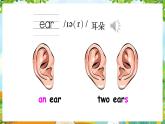 Unit 5 About me Lesson 2 Look at my face（课件+素材）冀教版（三起）英语三年级上册