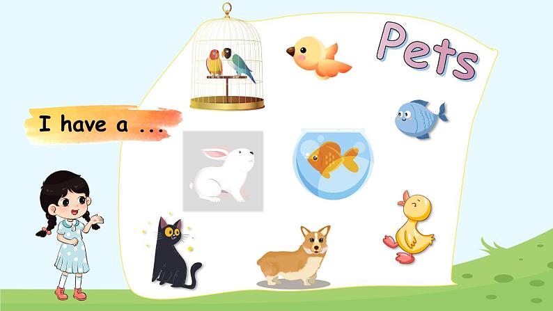 Unit 3 Amazing animals Part A Let's talk & Do a survey（课件+教案）-2024-2025学年人教PEP版（2024）英语三年级上册06