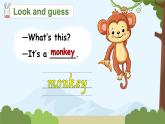 Unit 3 Amazing animals Part B Let's learn & Listen and chant（课件+教案）-2024-2025学年人教PEP版（2024）英语三年级上册