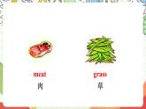 沪教牛津版（六三制一起）英语二上Module 4 Unit 2《In the forest》 课件+素材