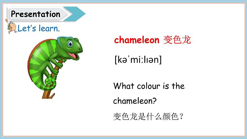 Unit 3 It’s a colourful world! Part 5 Wrap up（课件+素材）-2024-2025学年外研版（2024）英语三年级上册07