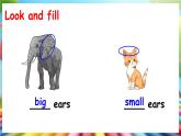 Unit 5 About me Lesson 4 This is me（课件+素材）冀教版（三起）英语三年级上册