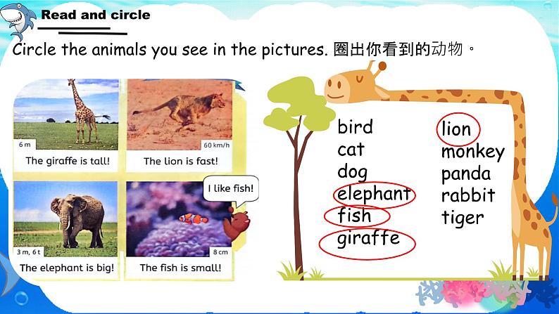 Unit 3 Amazing animals Start to read & Reading time（课件）-2024-2025学年人教PEP版（2024）英语三年级上册07